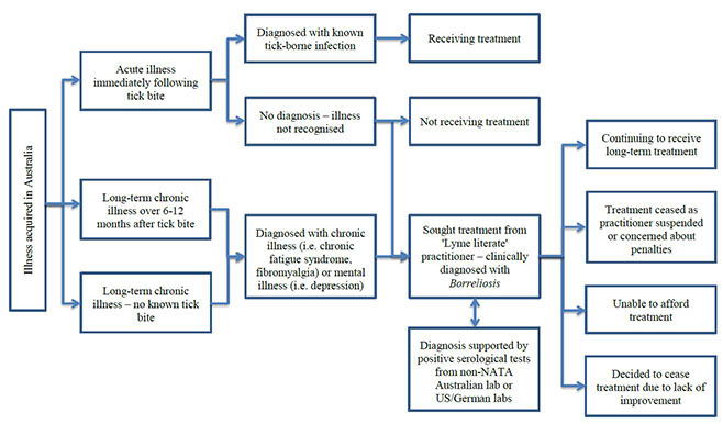 Figure 2.2 – Patient treatment pathways from submissions – Illness acquired in Australia